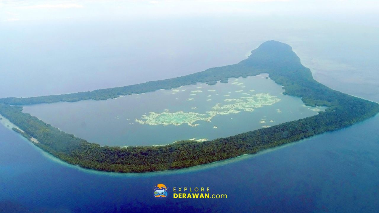 Pulau Kakaban Kepulauan Derawan