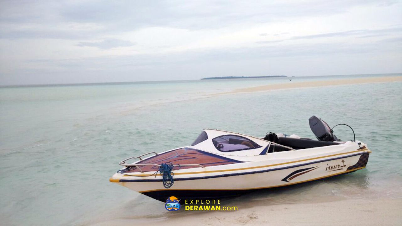 Speedboat Derawan Sangalaki