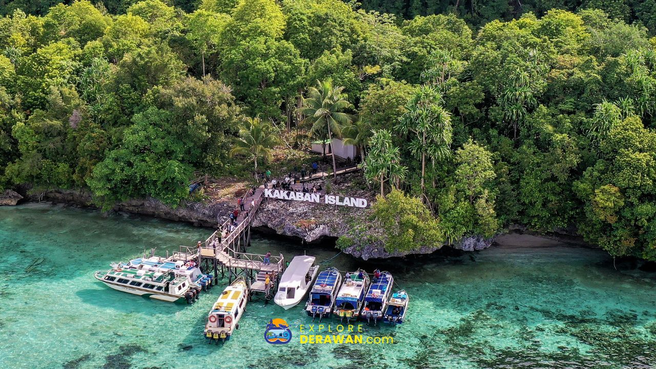 Speedboat Derawan Maratua