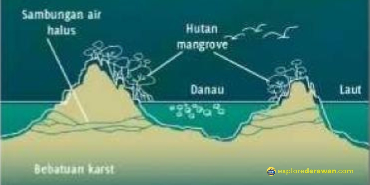 Danau Ubur-ubur Pulau Kakaban