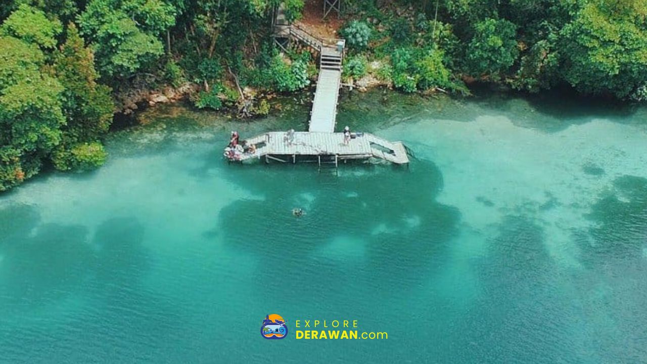 Wisata Derawan Maratua