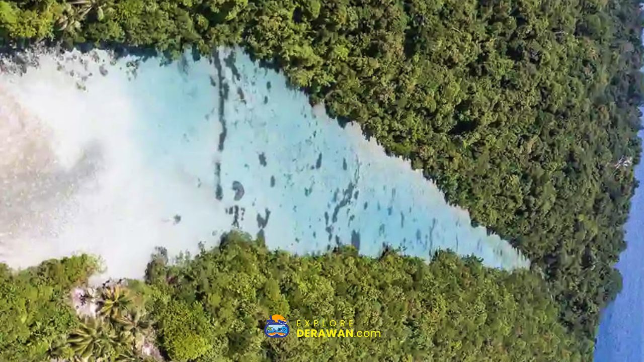 Read more about the article Laguna Kehe Daing: Keindahan Goa Ikan Tersembunyi di Pulau Kakaban Kepulauan Derawan!