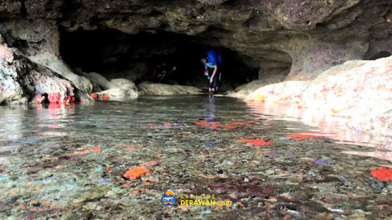 Wisata Bahari Derawan