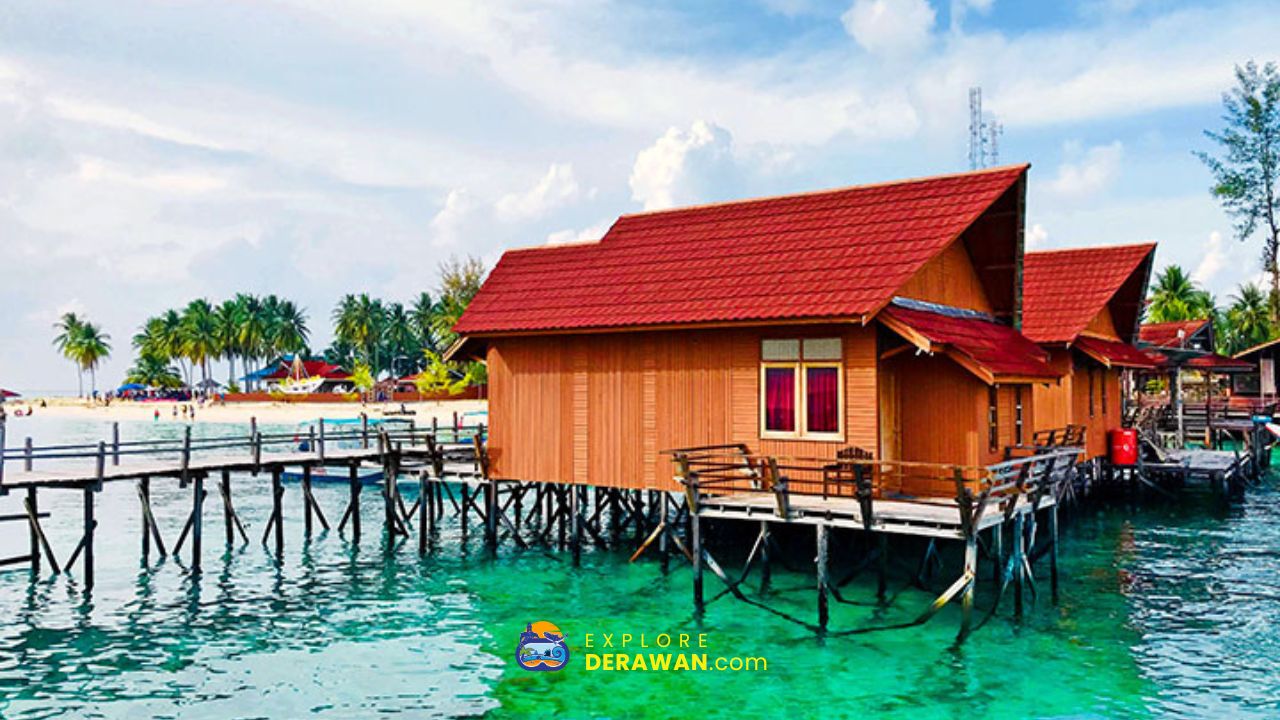 Akomodasi penginapan Derawan