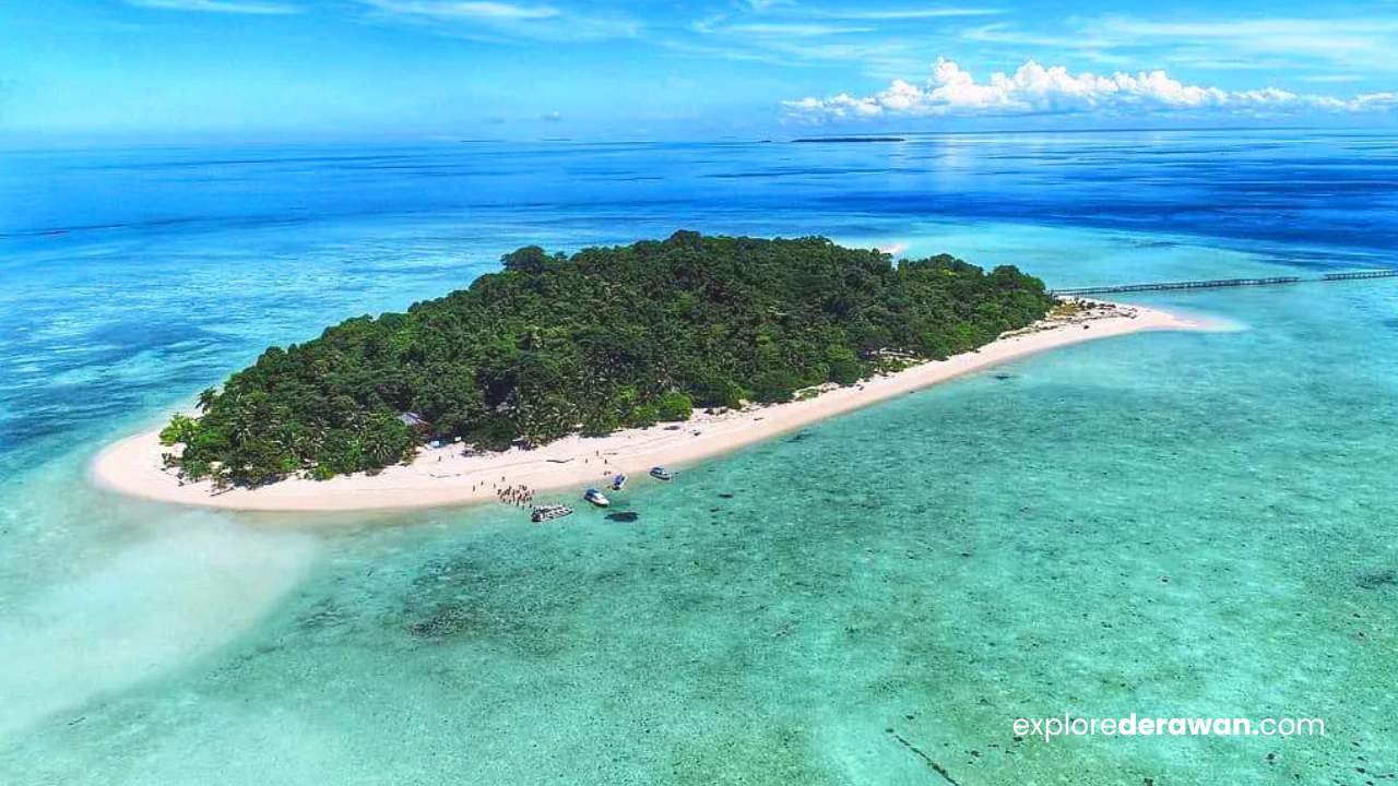 Read more about the article Destinasi Wisata Bahari Pulau Sangalaki Kepulauan Derawan