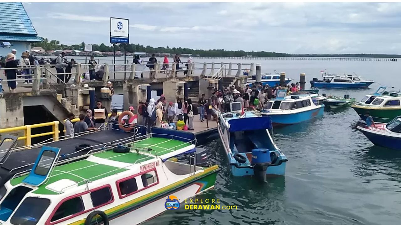 Speedboat Derawan Maratua